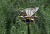 Dave Cerutti > Perpetual Butterfly (tripod)