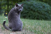 Canon 50mm f/2.5 Macro, Thanks Steve.